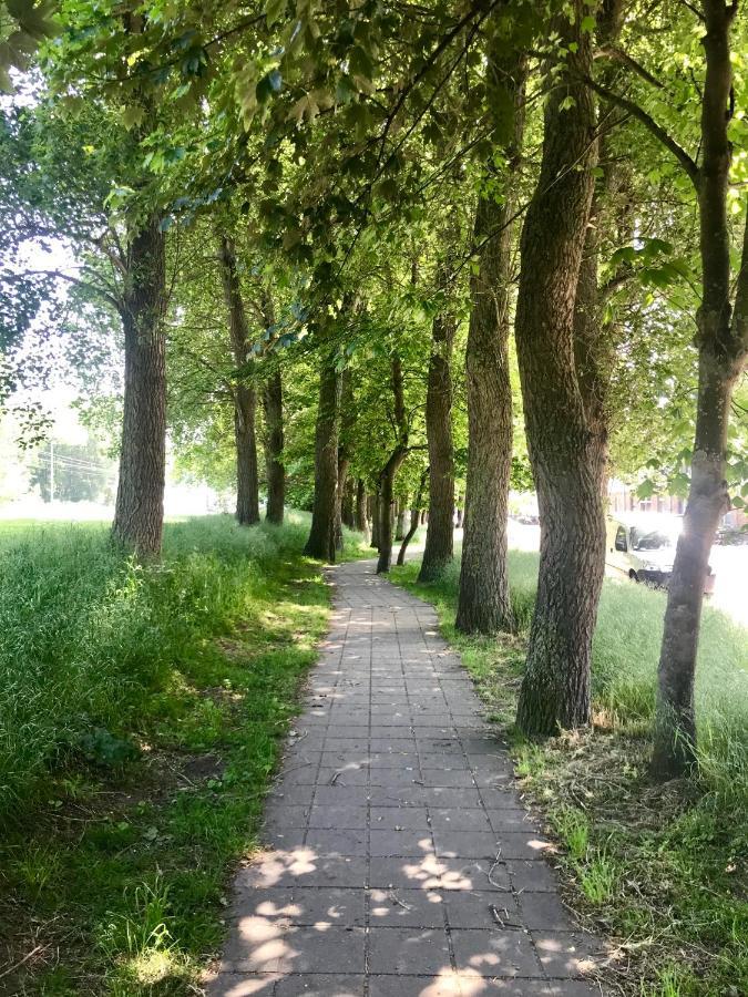 Sea And Dunes Knokke-Heist Luaran gambar